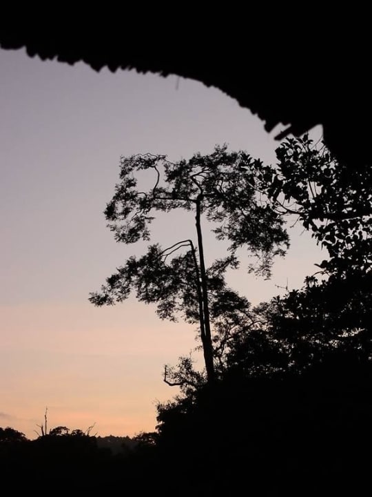 Abenddämmerung Shimba Hills Lodge