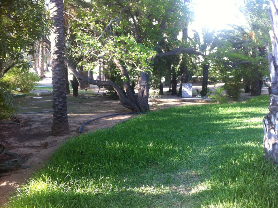 Ungepflegte Gartenanlage! Hotel Marhaba Club