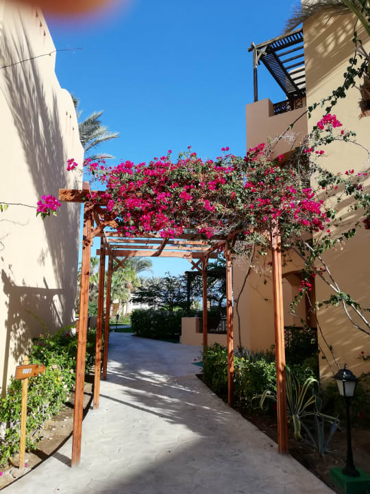 Gartenanlage Steigenberger Coraya Beach - Adults only