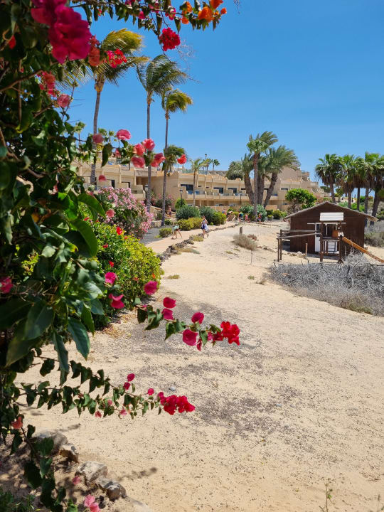 Außenansicht SBH Hotel Taro Beach