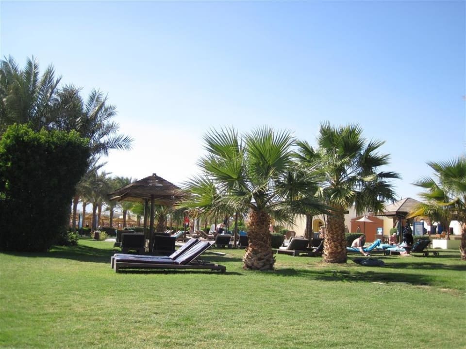 Großzügig Platz auf der Liegewiese SUNRISE Royal Makadi Resort