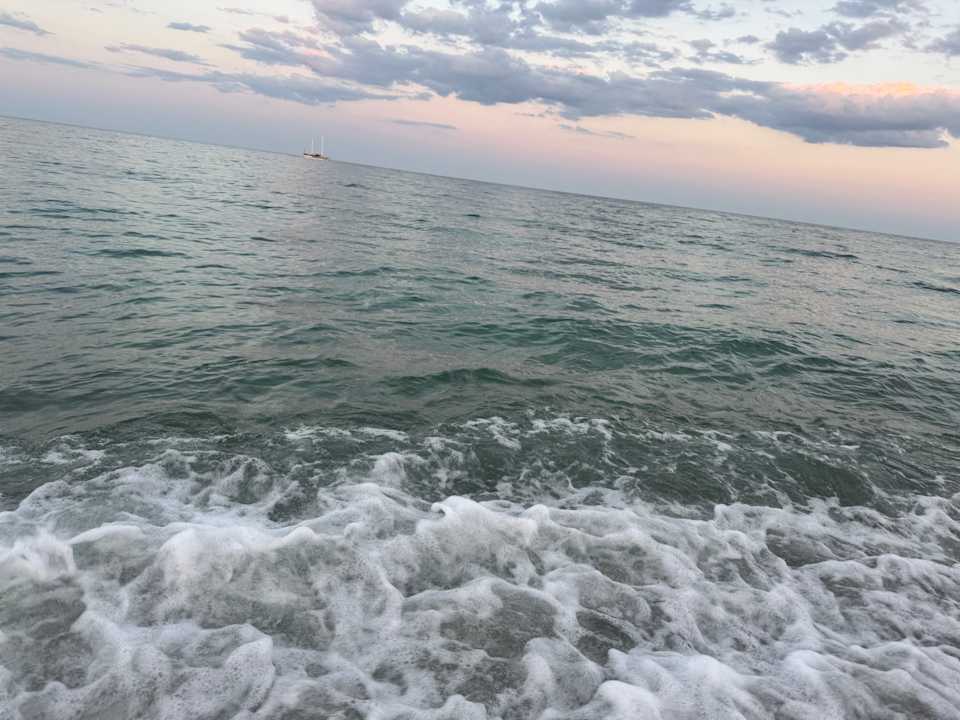 Sonstiges Sentido Marea