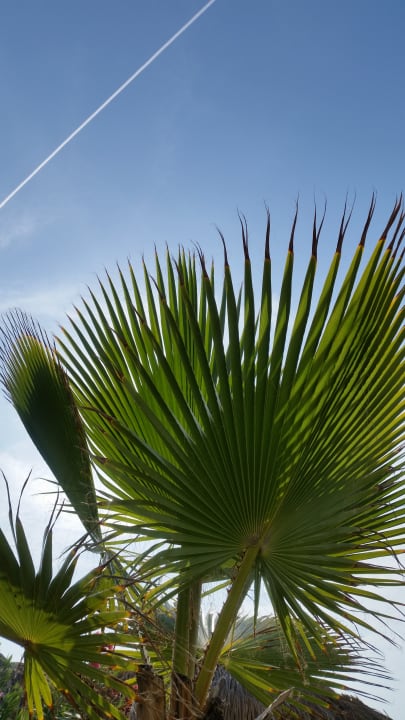 Sonstiges Mary Hotel Side