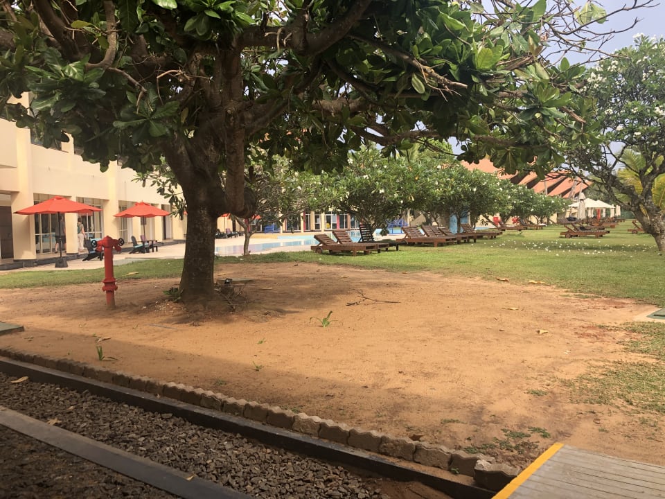 Gartenanlage Turyaa Kalutara