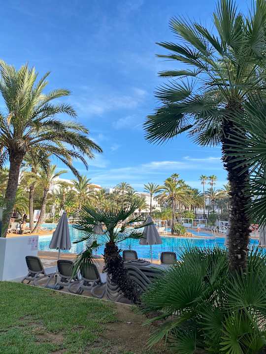 Ausblick Calimera Fido Gardens