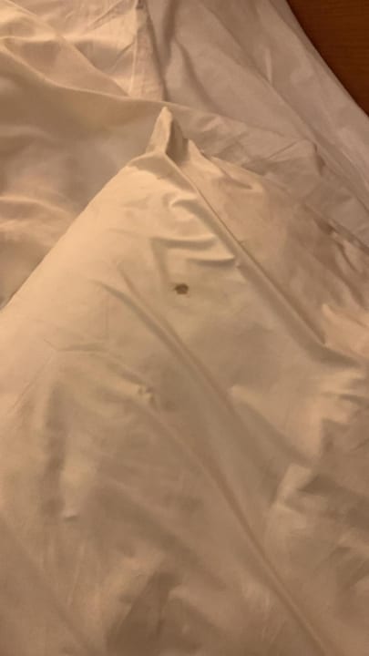 Zimmer Hotel Pine Bay Holiday Resort