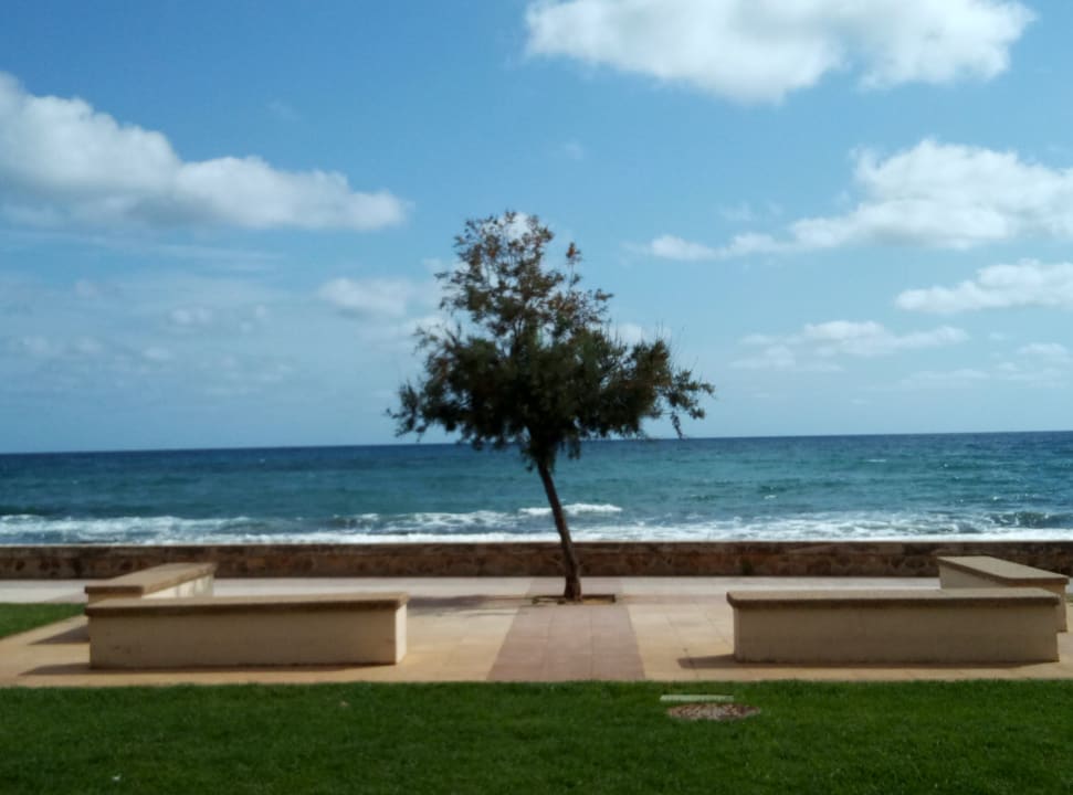 Ausblick Aparthotel Playa Dorada