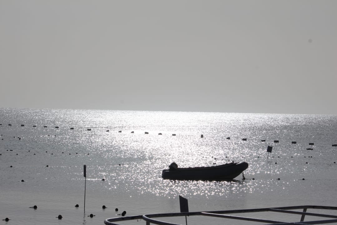 Ausblick Prima Life Makadi Resort
