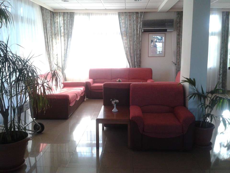 Hotel Emfang Hotel Harry's