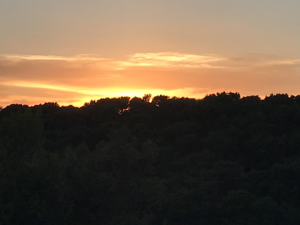 Ausblick Hotel Aurora