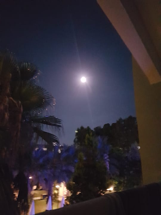 Ausblick Hotel Gardenia Beach