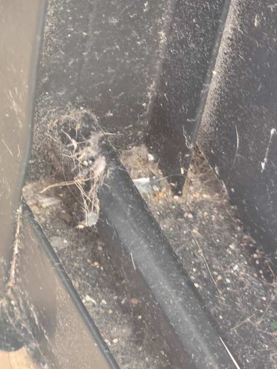 Zimmer Caramelo Palma Beach