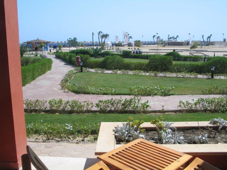 Widok z pokoju Malikia Resort Abu Dabbab