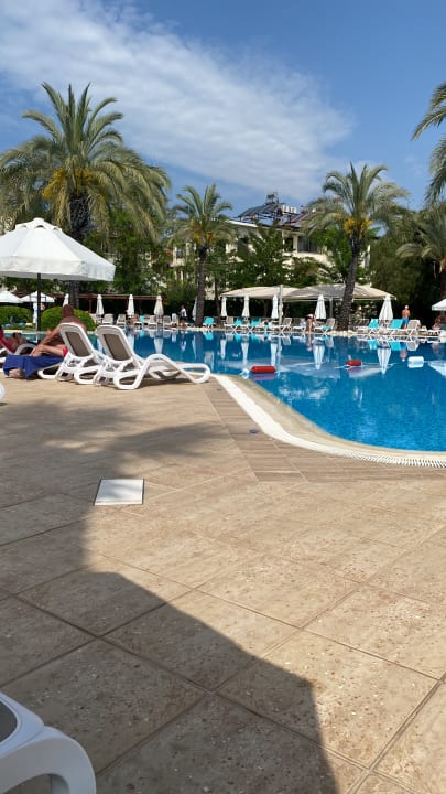 Pool Side Star Elegance