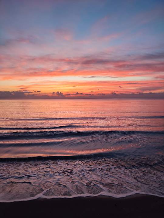 Strand Acanthus Cennet Barut Collection