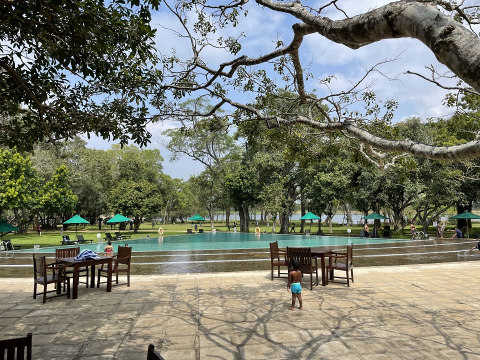 Pool Habarana Village by Cinnamon