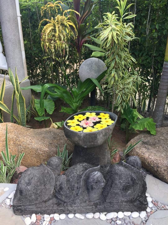 Gartenanlage Guesthouse Cabanes des Anges