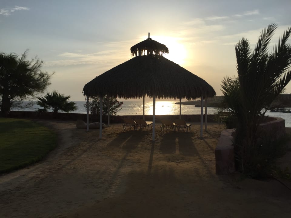 Außenansicht Steigenberger Coraya Beach - Adults only