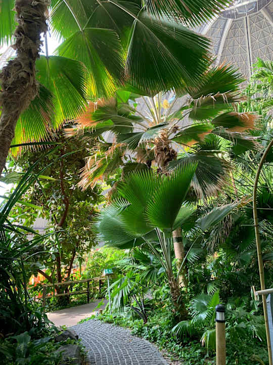 Gartenanlage Tropical Islands Resort
