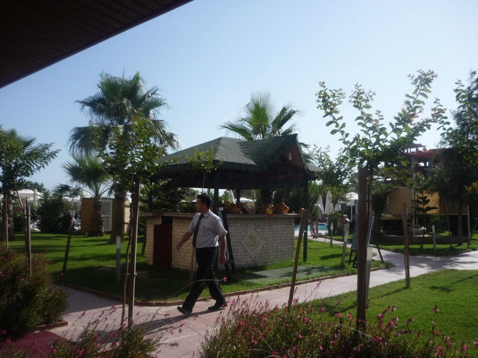 Saftbar Calimera Hane Garden