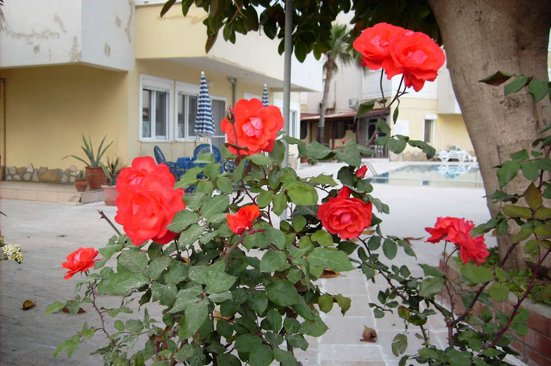 Blick von der Straße in die Anlage Apartment Royal 4