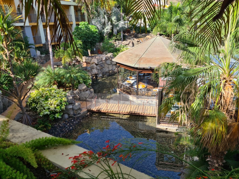 Ausblick Hotel Cordial Mogán Playa