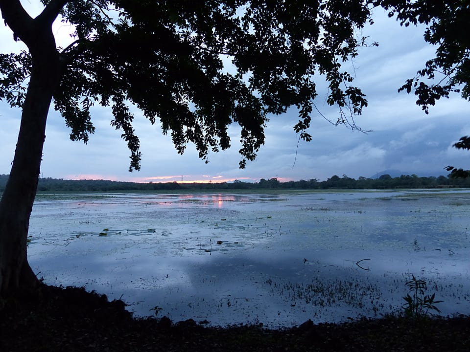 Schöner Ausblick Habarana Village by Cinnamon