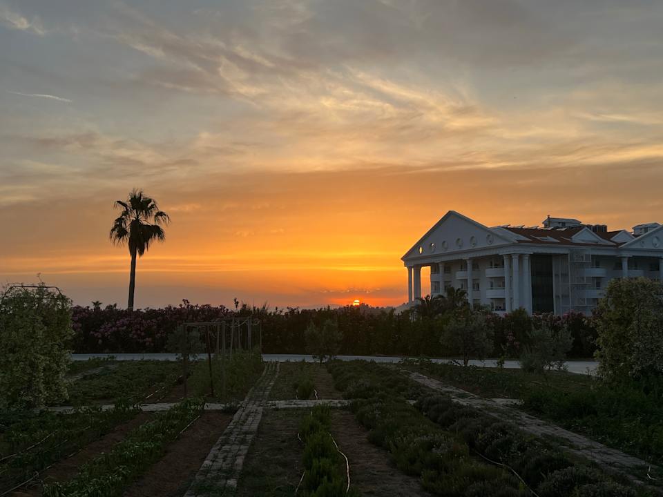 Gartenanlage Jacaranda Luxury Resort