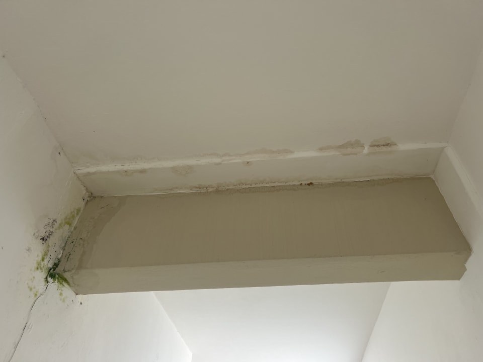 Zimmer Sunscape Dominicus La Romana