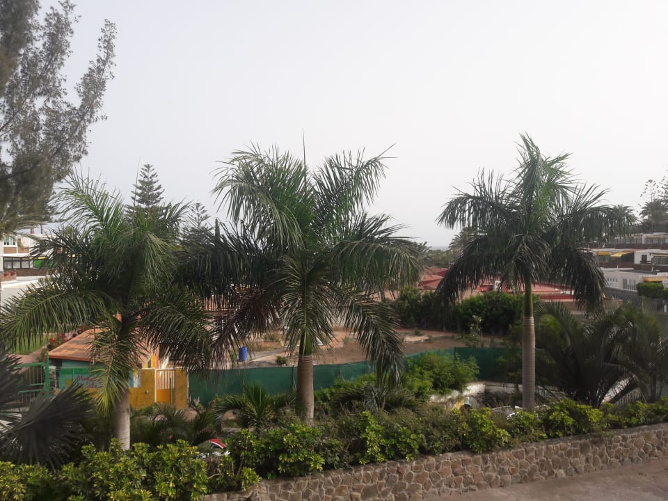 Ausblick Gloria Palace San Agustin Thalasso & Hotel