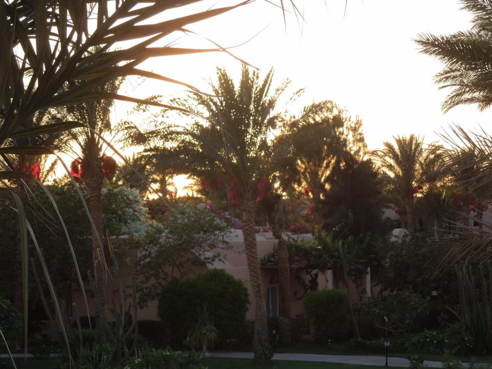 Was soll man dazu noch sagen? Iberotel Makadi Beach