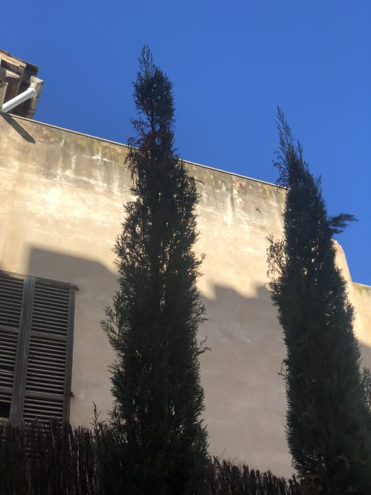 Ausblick Ca n'Alexandre - Adults Only