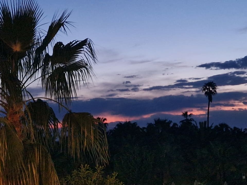 Ausblick Seaden Sea World Resort & Spa