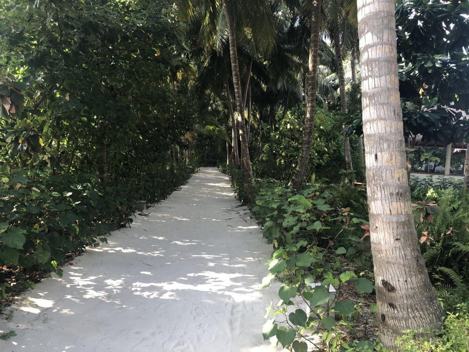 Gartenanlage Reethi Faru Resort