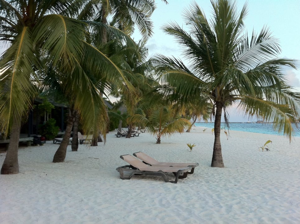Letzer Abend am Strand Kuredu Island Resort & Spa