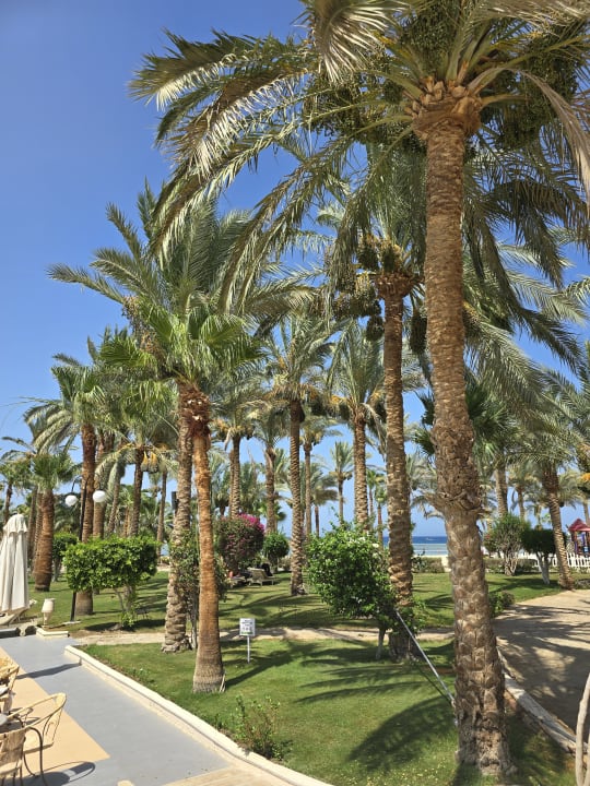 Gartenanlage Brayka Bay Resort