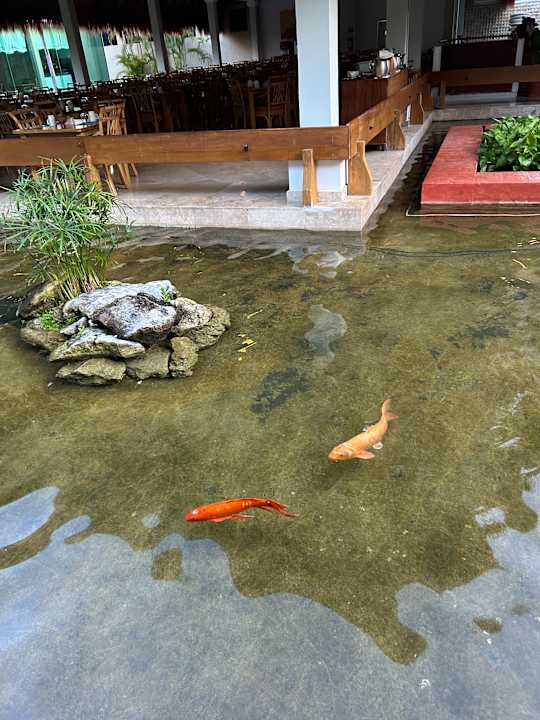 Gartenanlage Iberostar Waves Tucan