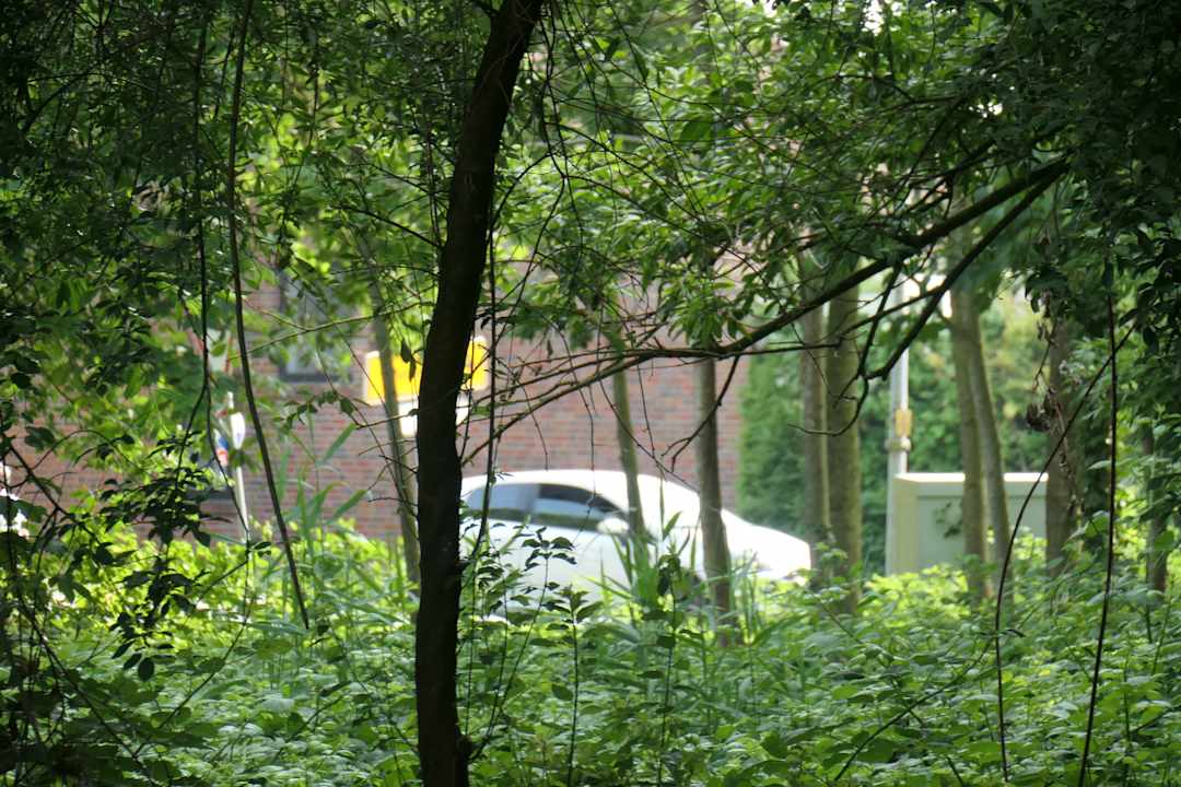 Ausblick Architektenhaus am Pewsumer Tief