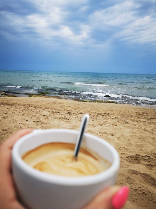 Pool Cactus Mare - Adults only