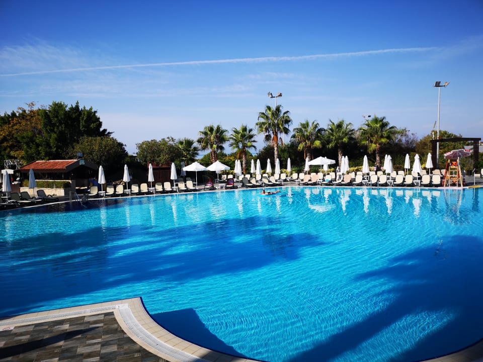 Pool Alba Resort Hotel