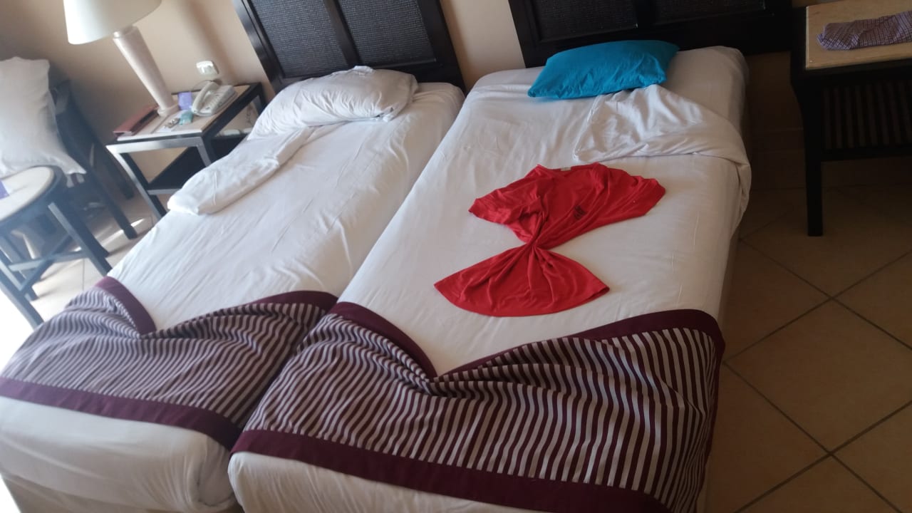 Zimmer JAZ Belvedere Resort