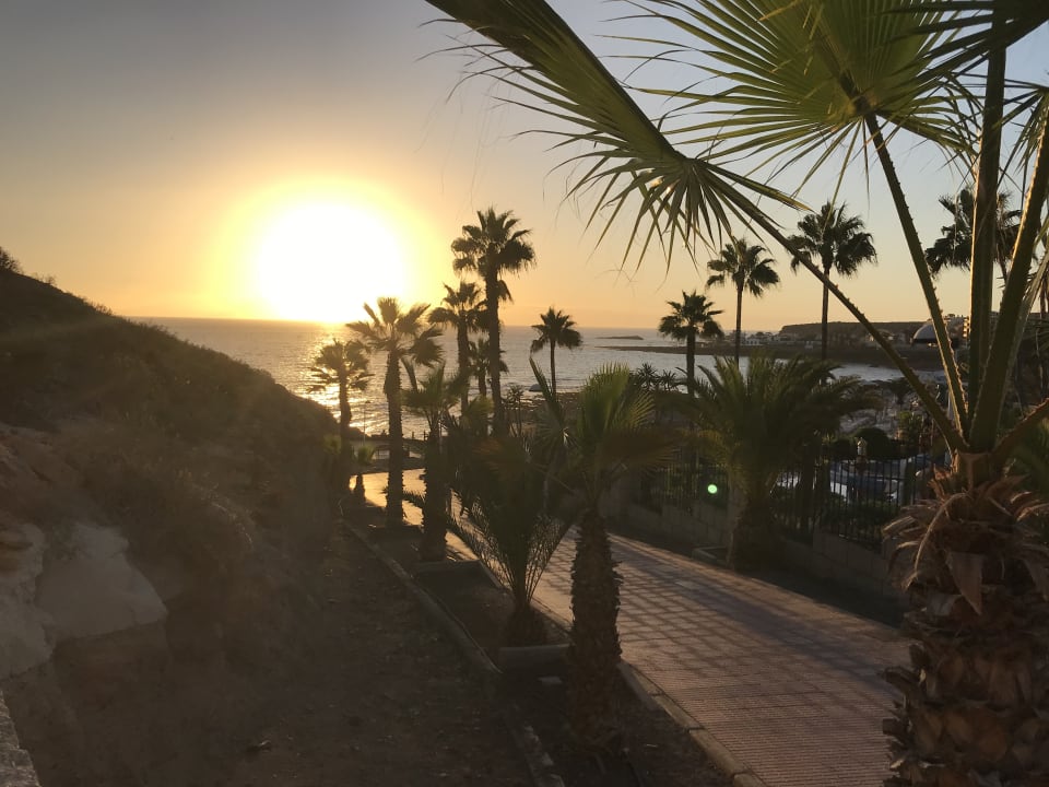 Außenansicht Hotel Riu Palace Tenerife