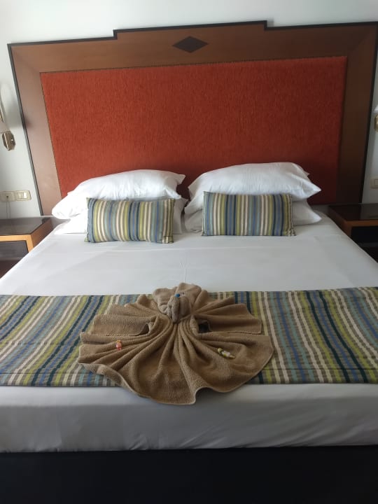 Zimmer Hotel Marhaba Beach