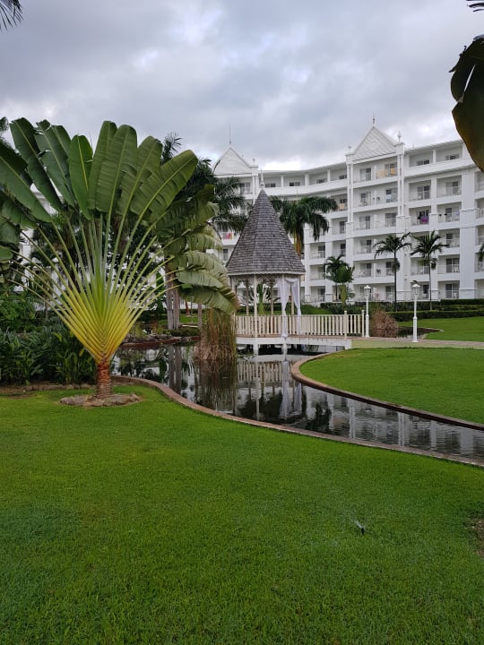 Schön angelegter Garten Hotel Riu Ocho Rios