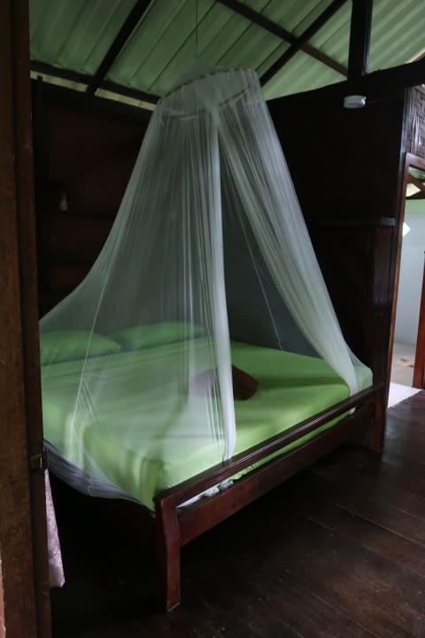 Zimmer Khao Sok Jungle Resort