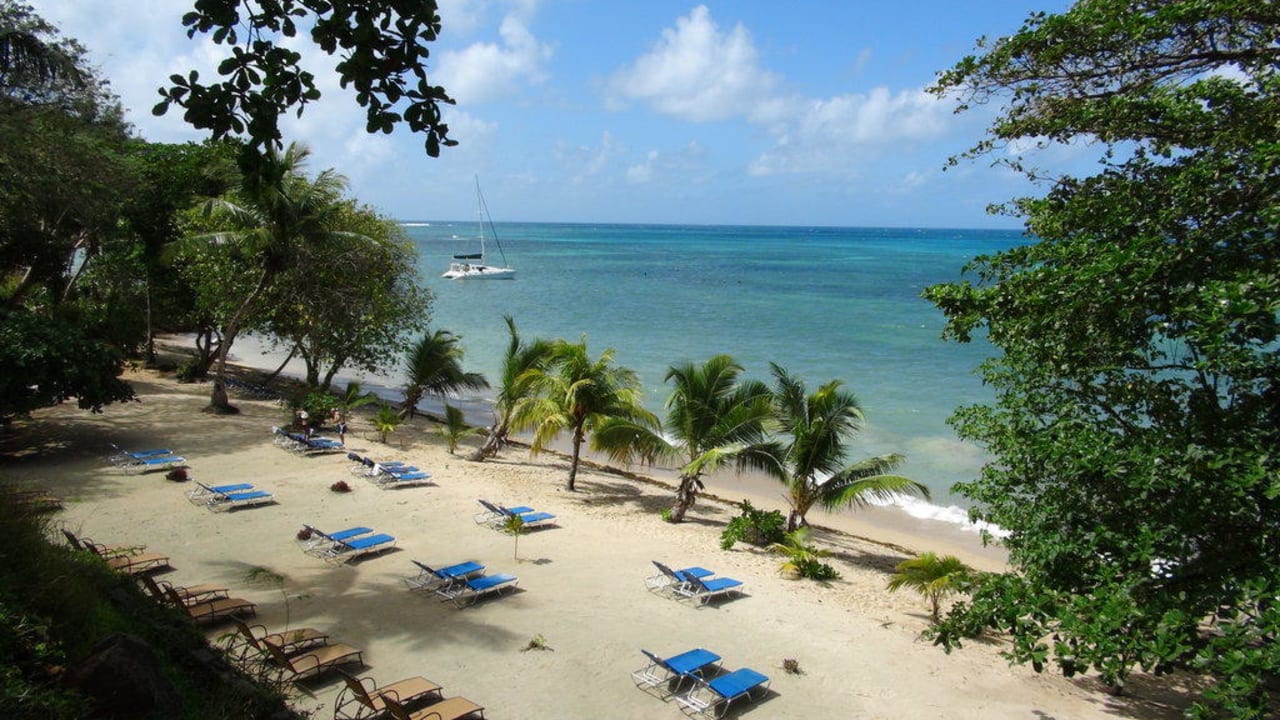 Hotelstrand The Coco de Mer Hotel & Black Parrot Suites