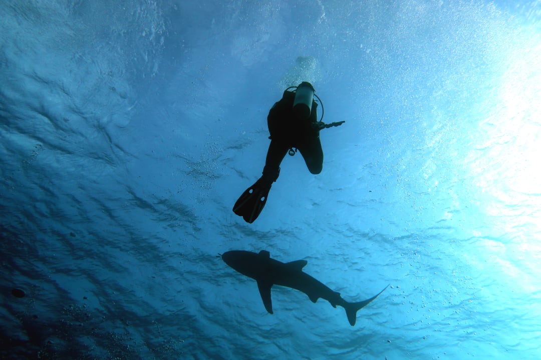 Strand Hotel Gorgonia Beach Resort