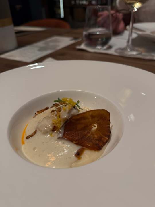 Gastro Paloma Finesse