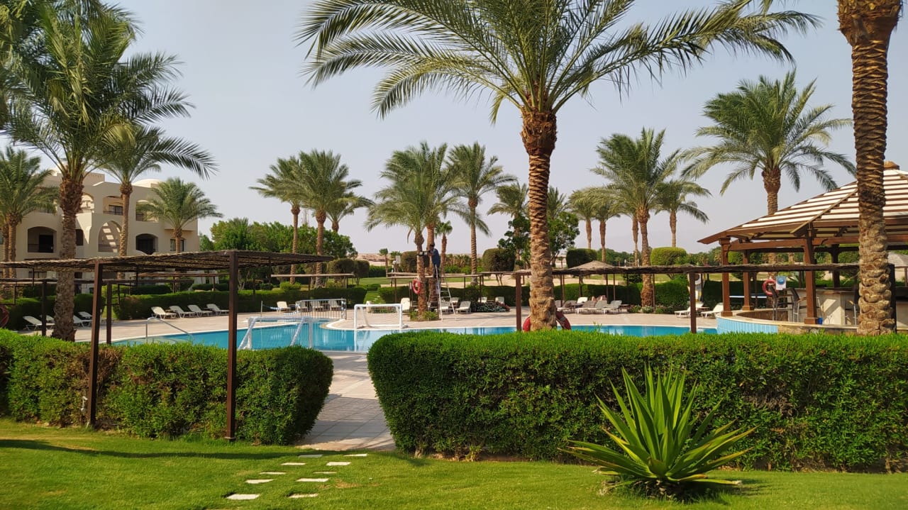 Pool JAZ Neo Saraya Palms