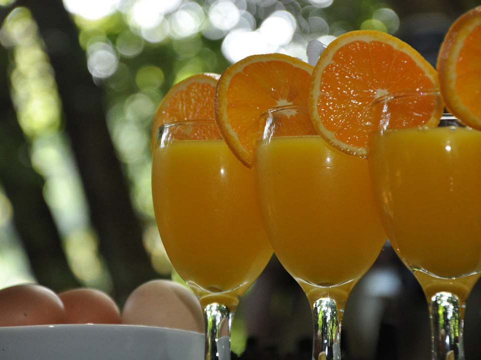 Welcome Drinks Mahoora Tented Safari Camp - Yala